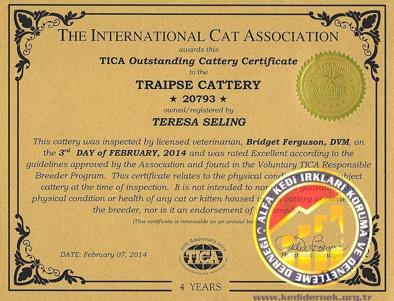 TICA Cattery Kedi Yetiştirici Belgesi ALFA Kedi Irkları Koruma ve Denetleme Derneği