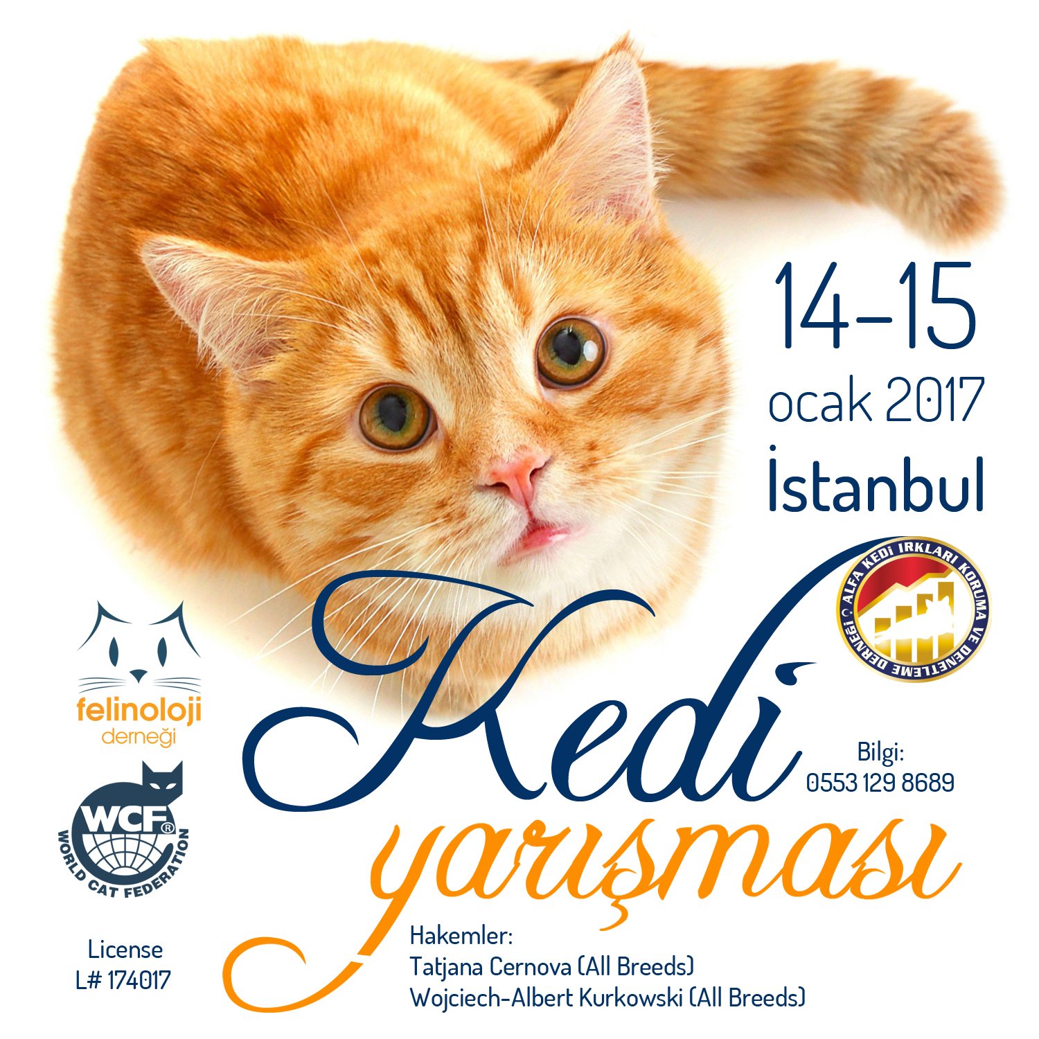 Kedi YarışmasıTR Kedi Irkları Koruma ve Derneği