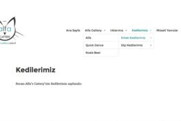 Kedi Yetiştiricileri İçin İnternet Sitesi